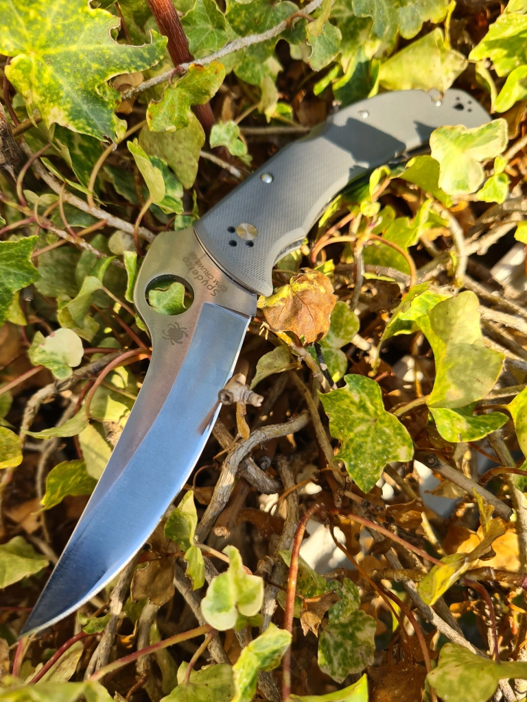 Compendium of tips for sharpening serrated knives - Page 11 - Spyderco  Forums